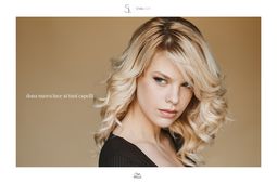 IL DEGRADE' JOELLE  DEL NUOVO ANNO